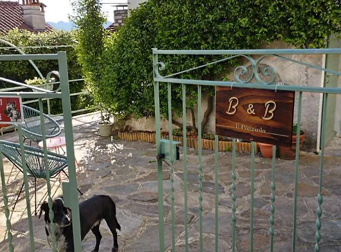 Il Poggiolo Bed & Breakfast